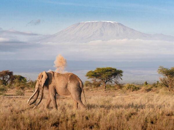 TANZANIA & ZANZIBAR SAFARI